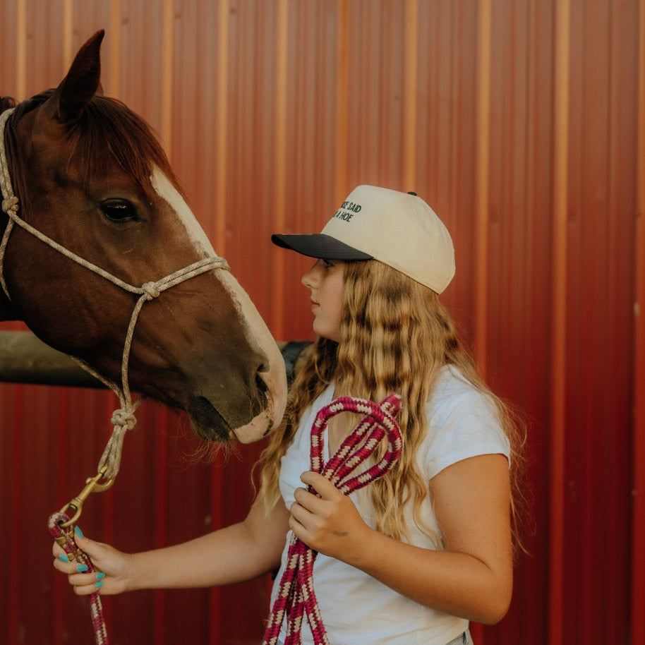 MY HORSE SAID