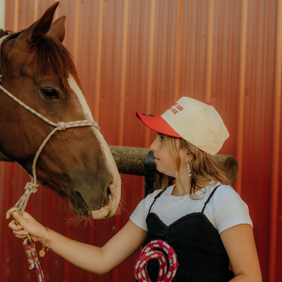 MY HORSE SAID